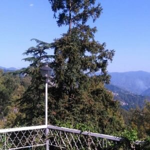 Shimla Group Tour Packages